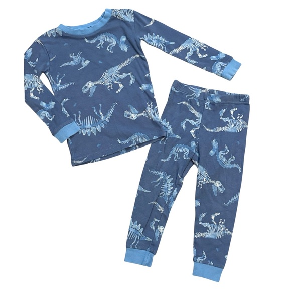 Burt's Bees Blue Dinosaur Pajama Set - Picture 1 of 6